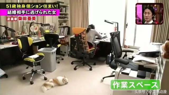 日本女漫畫家抱怨生活空虛:單身住豪宅,窮到只剩錢