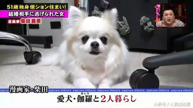 日本女漫畫家抱怨生活空虛:單身住豪宅,窮到只剩錢