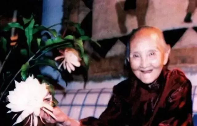 傳奇母親!她40多歲守寡,辛苦養大8女5男,培養13位博士,壽宴上竟請得動「美國前總統柯林頓」!