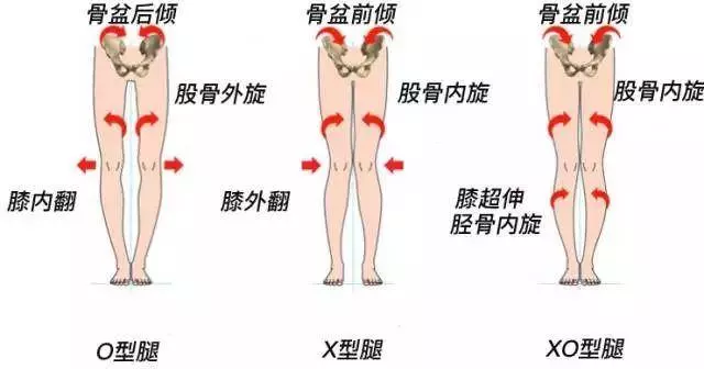 「老江湖」? 女人兩腿間的「縫隙大」代表著是什麼?女人要了解,男人要小心了