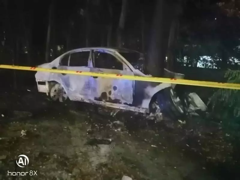 寶馬撞樹起火 華裔經理慘被活活燒死