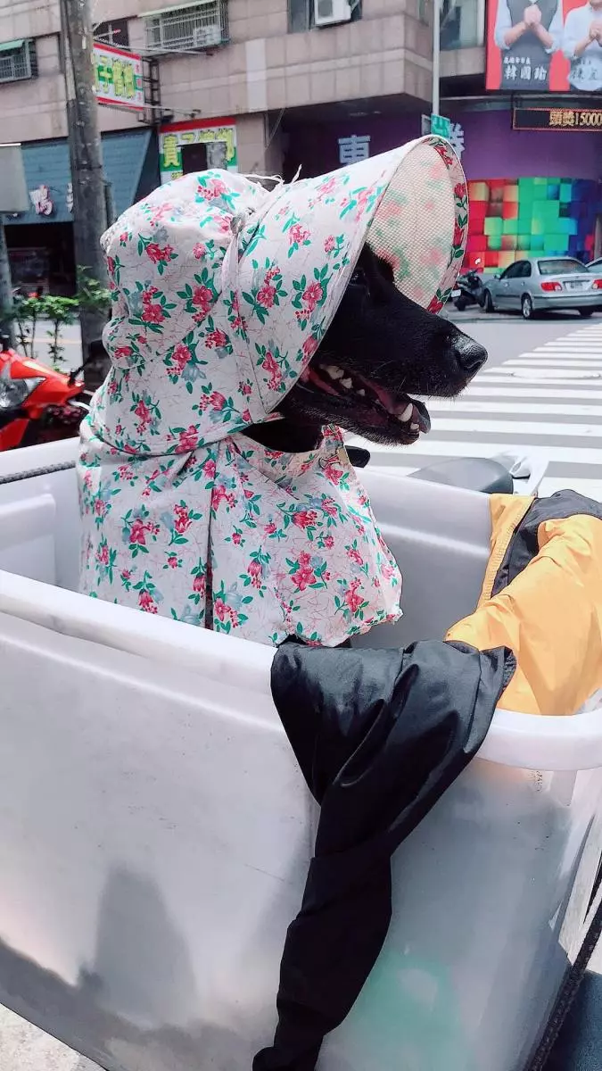 超甜蜜!老伯精心打造「專屬座位」載老伴,「小碎花背影」轉身,全網笑瘋:阿嬤被曬黑啦!