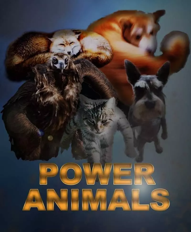 動物界復仇者來了! 右鉤拳柴犬率領「超能力動物」每隻都不好惹