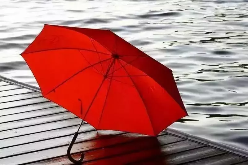 跟雨傘學做人 跟雨靴學做事