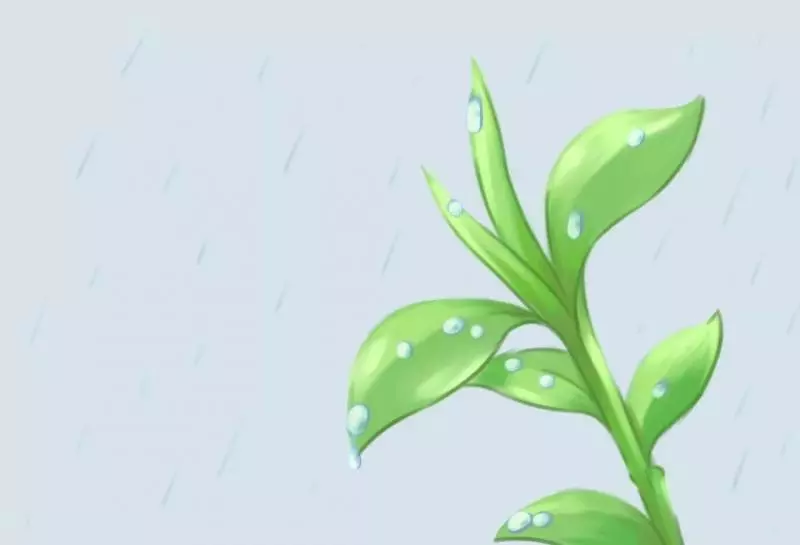 跟雨傘學做人 跟雨靴學做事
