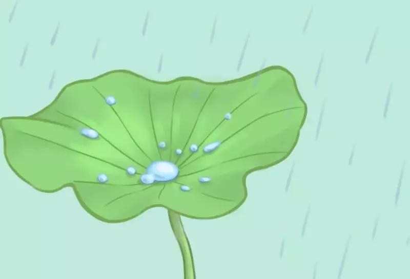 跟雨傘學做人 跟雨靴學做事