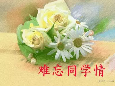 致所有老同學:一輩子真的很短,趁我們能聚就聚吧!這些話我想親自跟你說