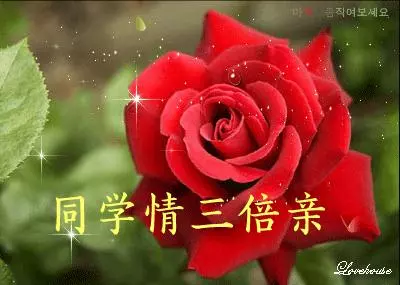致所有老同學:一輩子真的很短,趁我們能聚就聚吧!這些話我想親自跟你說