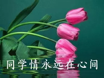 致所有老同學:一輩子真的很短,趁我們能聚就聚吧!這些話我想親自跟你說