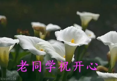 致所有老同學:一輩子真的很短,趁我們能聚就聚吧!這些話我想親自跟你說