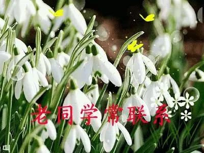 致所有老同學:一輩子真的很短,趁我們能聚就聚吧!這些話我想親自跟你說