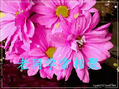 致所有老同學:一輩子真的很短,趁我們能聚就聚吧!這些話我想親自跟你說