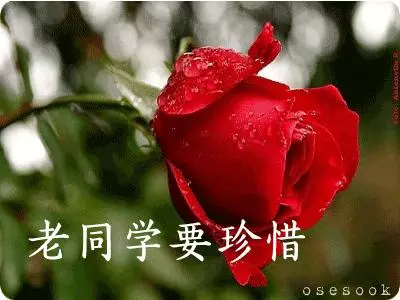致所有老同學:一輩子真的很短,趁我們能聚就聚吧!這些話我想親自跟你說