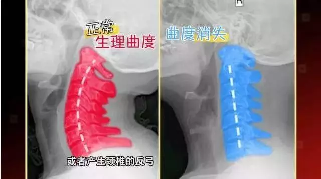 酒店房間為什麼要放4個枕頭?90%的人竟然都不知道!