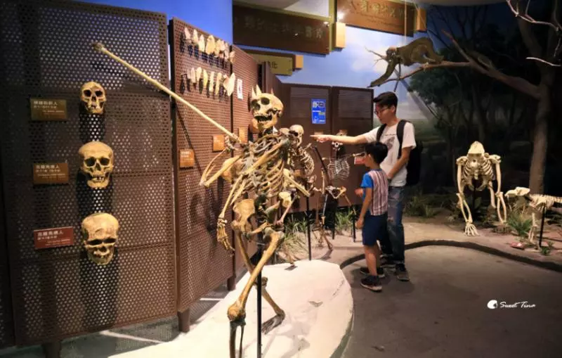 樹谷生活科學館富於寓教於樂,親子出遊的好去處!