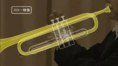 20個「會讓你漲IQ」的超重要知識