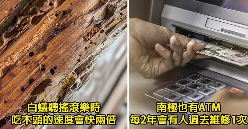 25個會讓你馬上想去Google是不是真的「最難以置信的奇特事實」!威而鋼不只能幫人類「站的直挺挺」!