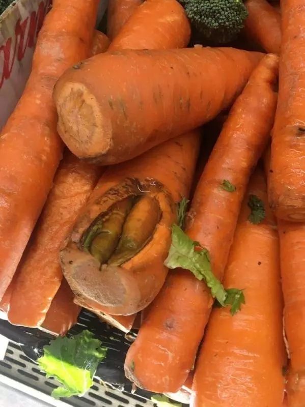11個買到就賺翻的「內藏超級驚喜」商品 把木瓜切一半…裡面有3個木瓜寶寶!