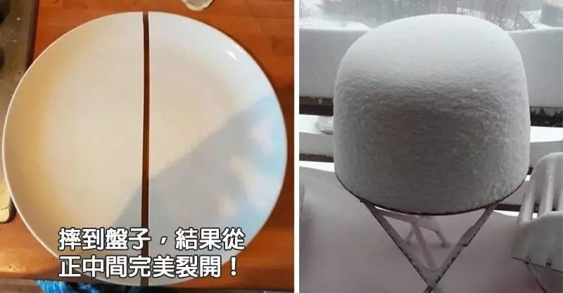 30張會讓你不需要去按摩的「超紓壓完美照片」。