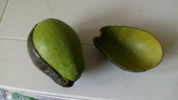 30張會讓你不需要去按摩的「超紓壓完美照片」。