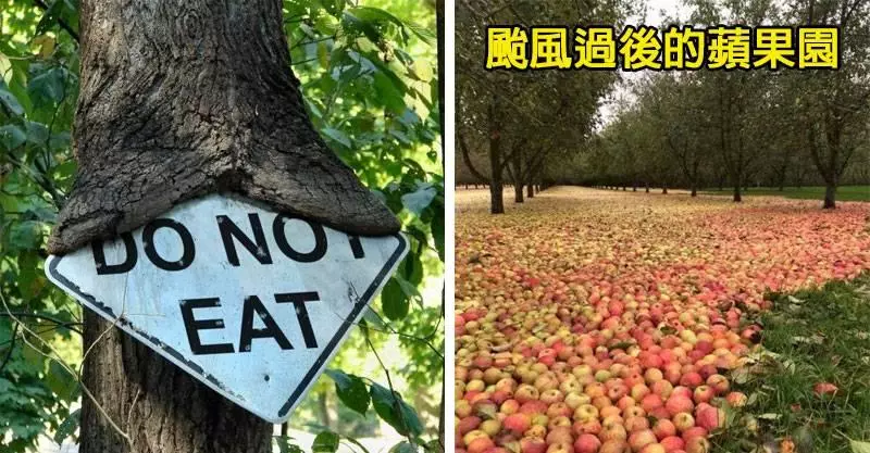 20張看出「人類想惹大自然真的太愚蠢」的地球母親瘋狂照