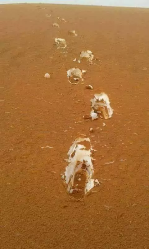 20張看出「人類想惹大自然真的太愚蠢」的地球母親瘋狂照