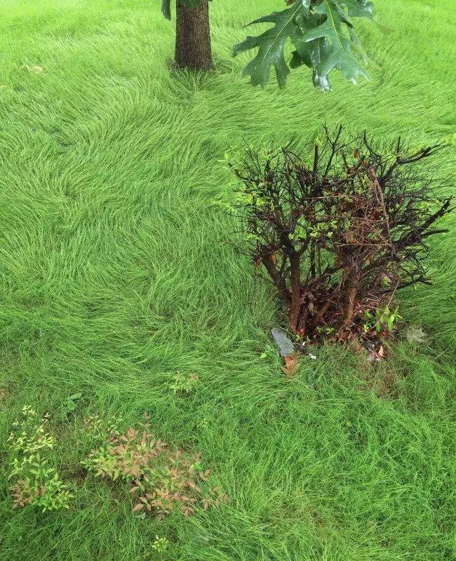 20張看出「人類想惹大自然真的太愚蠢」的地球母親瘋狂照