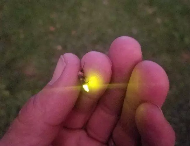 20張看出「人類想惹大自然真的太愚蠢」的地球母親瘋狂照