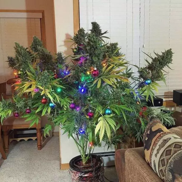 32張會讓你開心一整天的趣味圖片