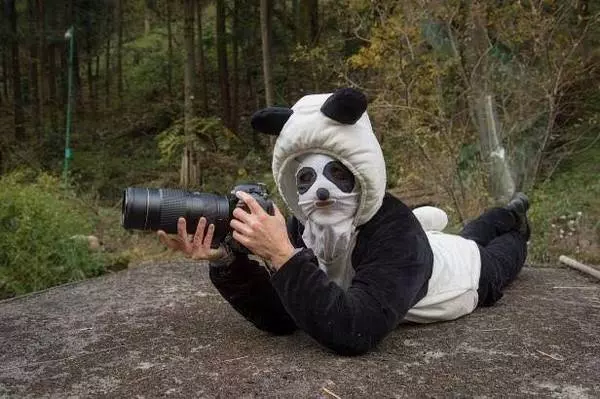 工作人員Cosplay「熊貓人」假扮同類 小熊貓竟真的相信「還乖乖做檢查」