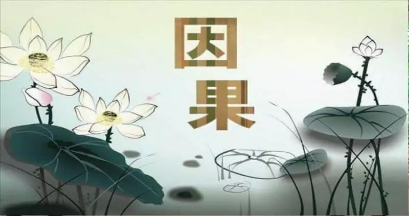 命運有一半在因果里,一半在你手裡