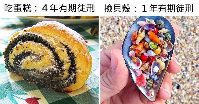 12個「我們天天做的事情」在別的地方可是罪 在新加坡連公開wi-fi要坐3年!