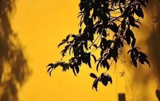 與人交往,重在將心比心。從今往後:誰把你傷害,以後絕不聯絡