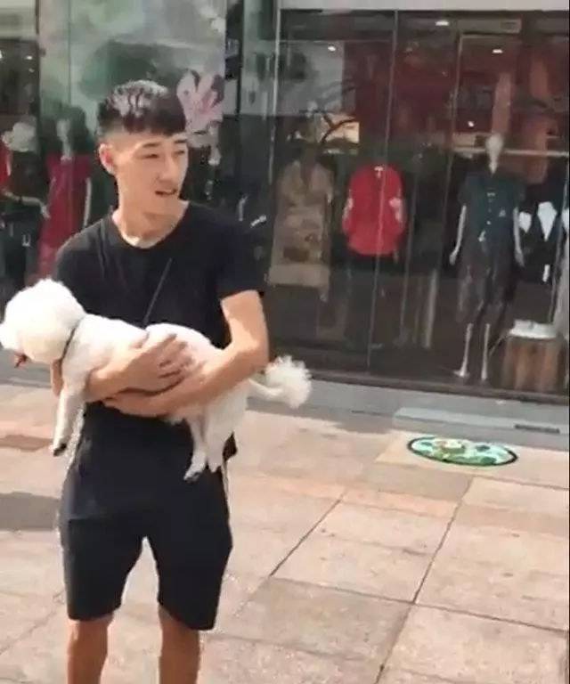 看到旁邊狗狗被主人抱,百斤阿拉斯加轉身暗示主人:我也想要抱抱