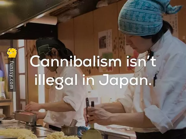 17個詭異卻又引人好奇的有趣資訊