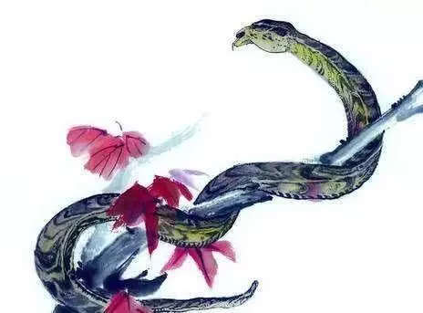 敢不敢看你的天命, 你屬什麼天命就是什麼,真的准 !