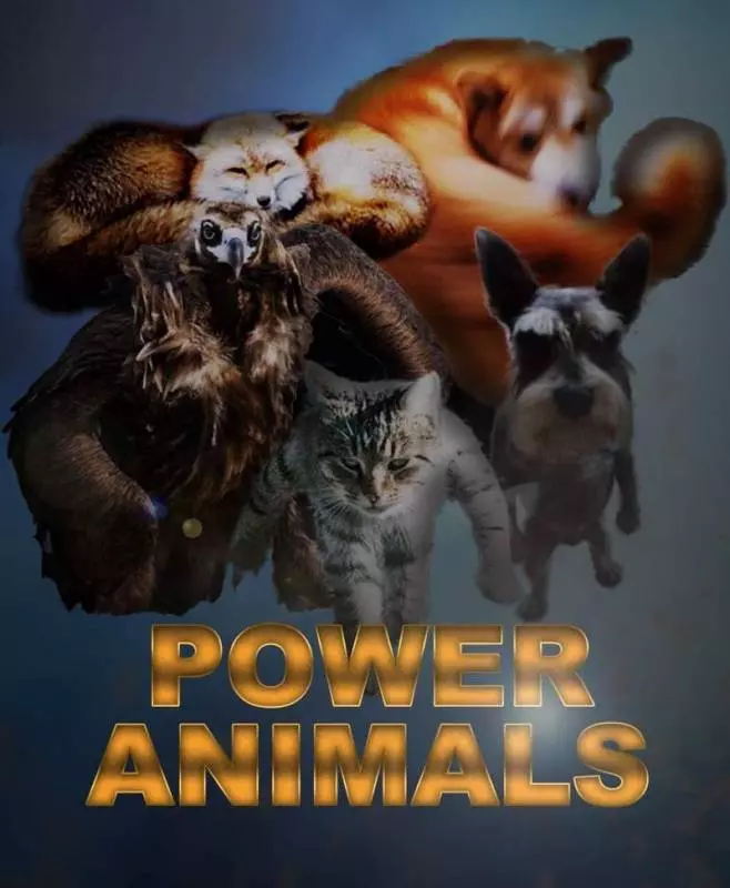 動物界復仇者來了! 右鉤拳柴犬率領「超能力動物」每隻都不好惹