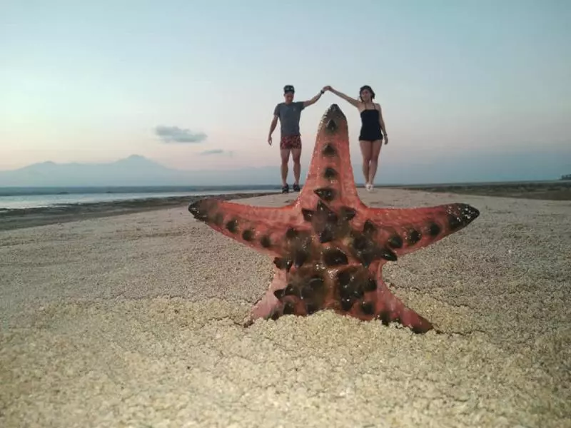 拋起來那一刻牠在喊痛! 遊客為拍美照讓夢幻海灘變「海星地獄」