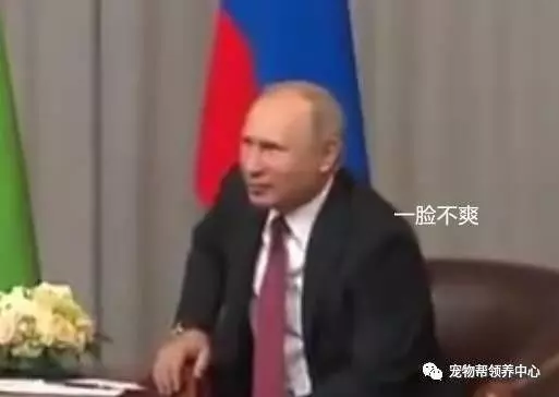 是不是真正愛狗,看抱狗的動作就知道了!