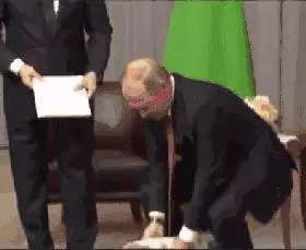 是不是真正愛狗,看抱狗的動作就知道了!