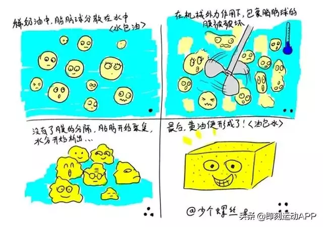 黃油究竟是什麼?它對身體究竟是有益還是有害?我們應該怎麼吃?