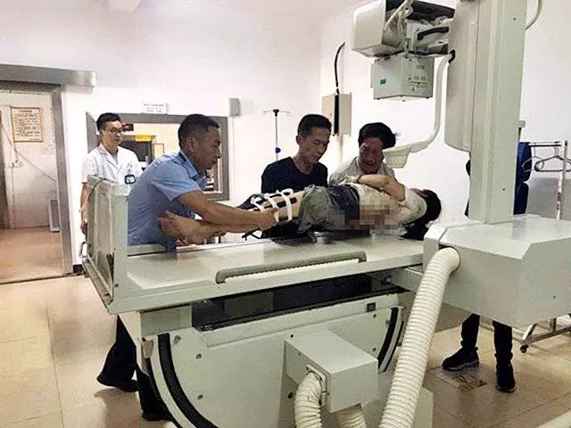 游野象保護區 離車小解 女子被大象踹斷3根肋骨
