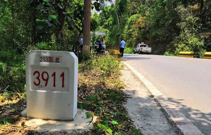 游野象保護區 離車小解 女子被大象踹斷3根肋骨