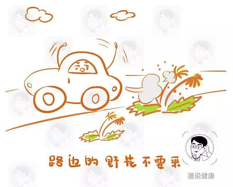 蒲公英雖好,但在處理時若不注意這些,再好的養生都白搭