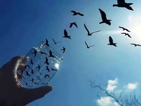 啥叫「視覺出軌」,今天真是開眼了!