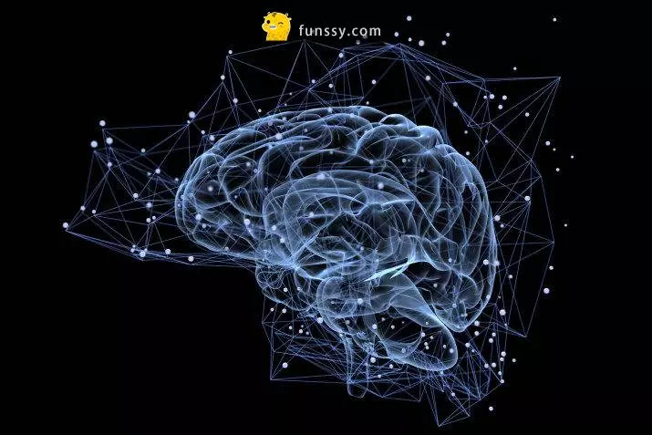 21個你一定被大人們騙過的世紀謊言,一起來看看吧!