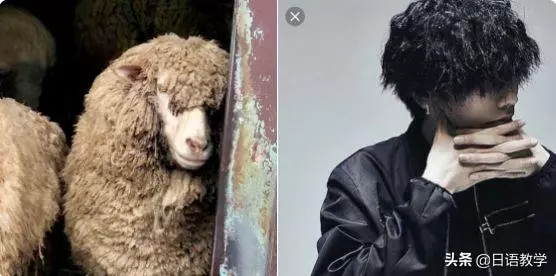相似度爆表!日本網友分享那些和動物撞臉的明星,毫無違和感!哈
