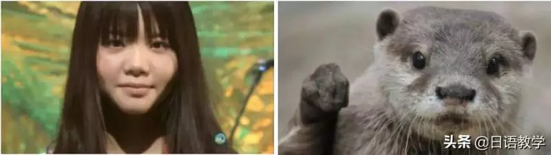 相似度爆表!日本網友分享那些和動物撞臉的明星,毫無違和感!哈