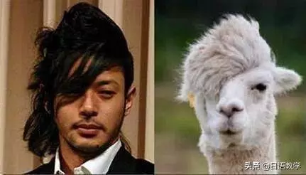 相似度爆表!日本網友分享那些和動物撞臉的明星,毫無違和感!哈