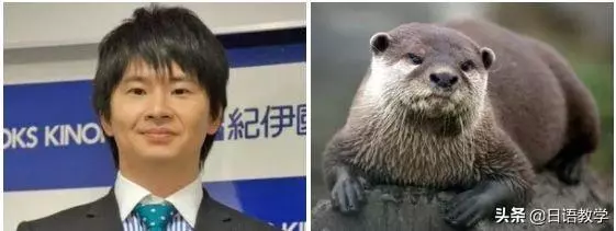 相似度爆表!日本網友分享那些和動物撞臉的明星,毫無違和感!哈
